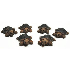 Cement Mini Turtles (6 pc set) U03-0209232-0096-6 mini turtles. Garden décor.